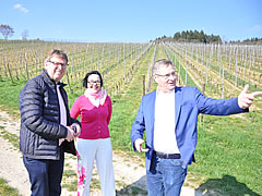 Der Wein.Lotse